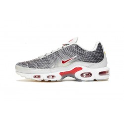 Nike Air Max Plus Tn Grey and White Sneaker